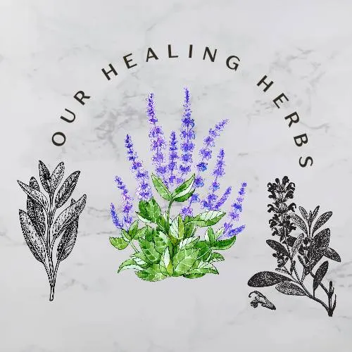 Our Healing Herbs 