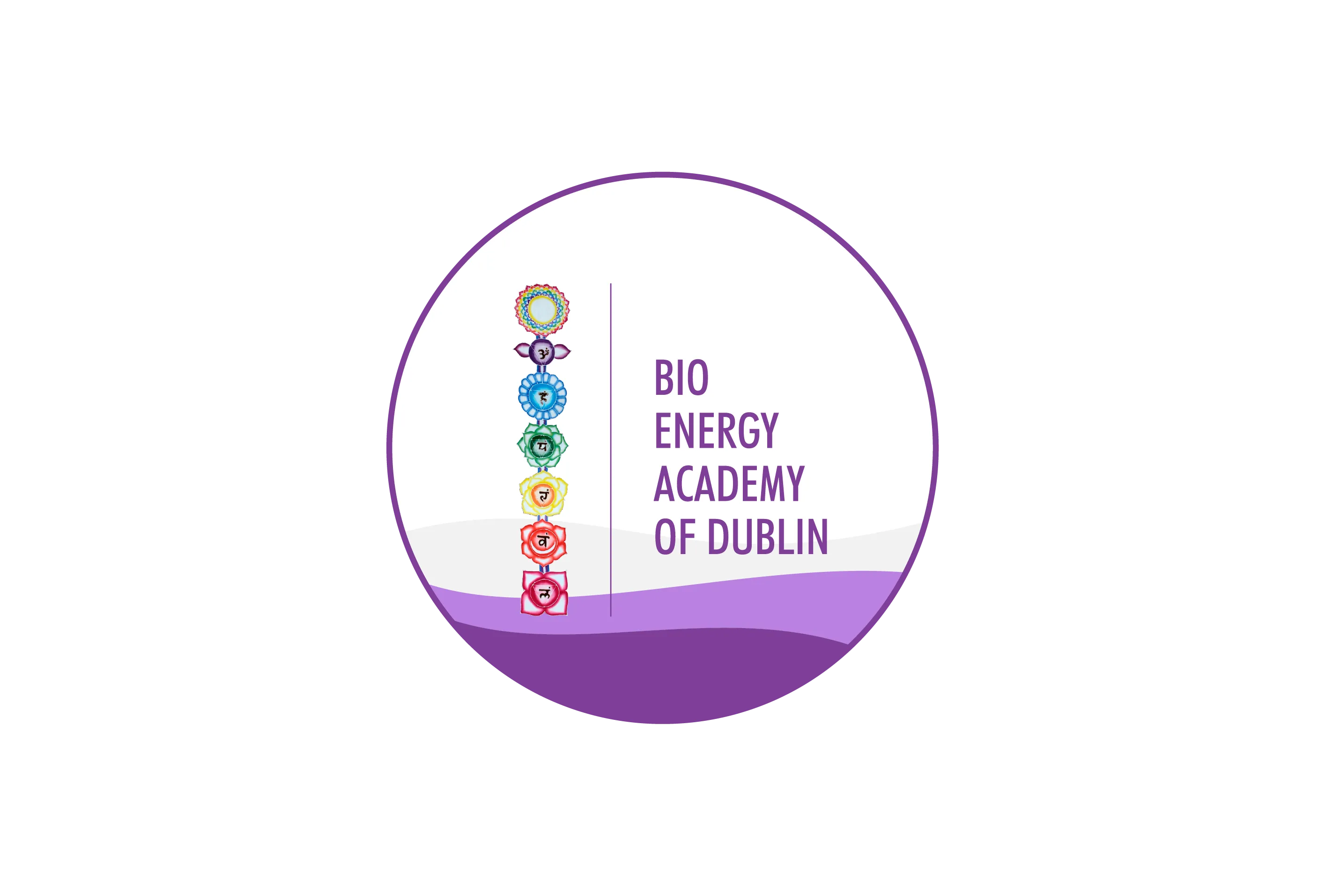 Bio Energy Academy of Dublin