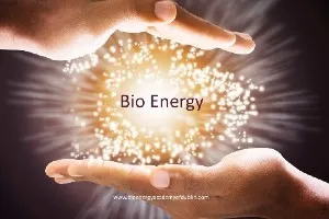 Bio Energy